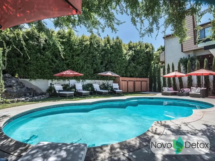 Novo Detox - Ảnh 2