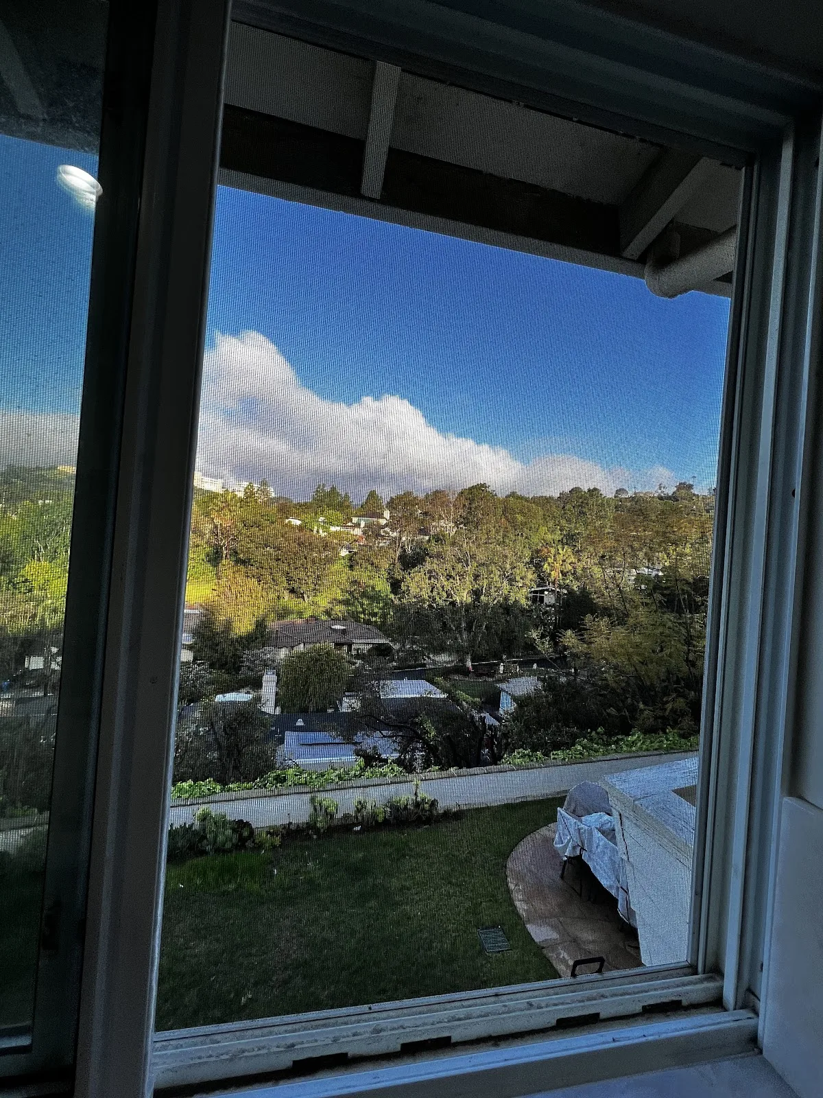 Novo Detox - Ảnh 4