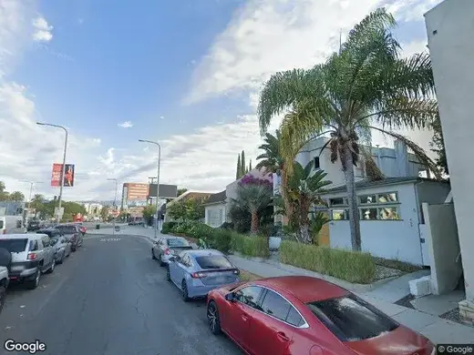 Lush palm trees lining the entrance of Psychiatry Treatment Centers, a detox center in Los Angeles.