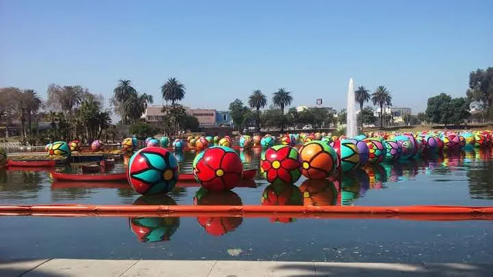 BAART Programs Beverly - 照片 4