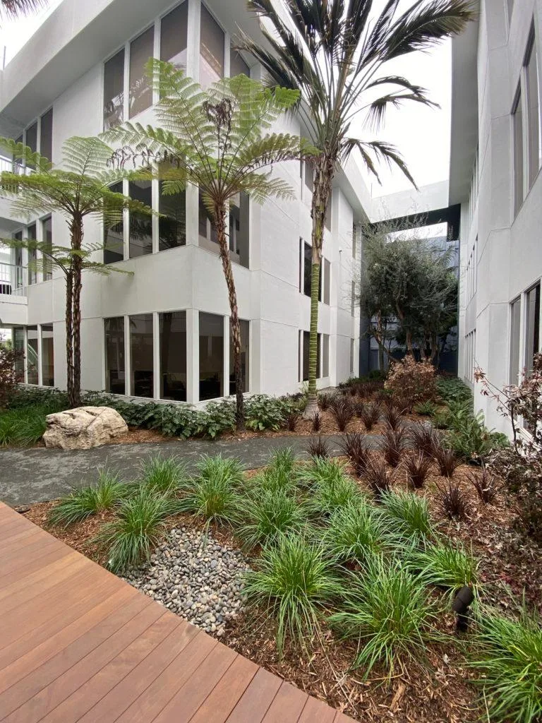 Clearview Outpatient - Los Angeles - Foto 5