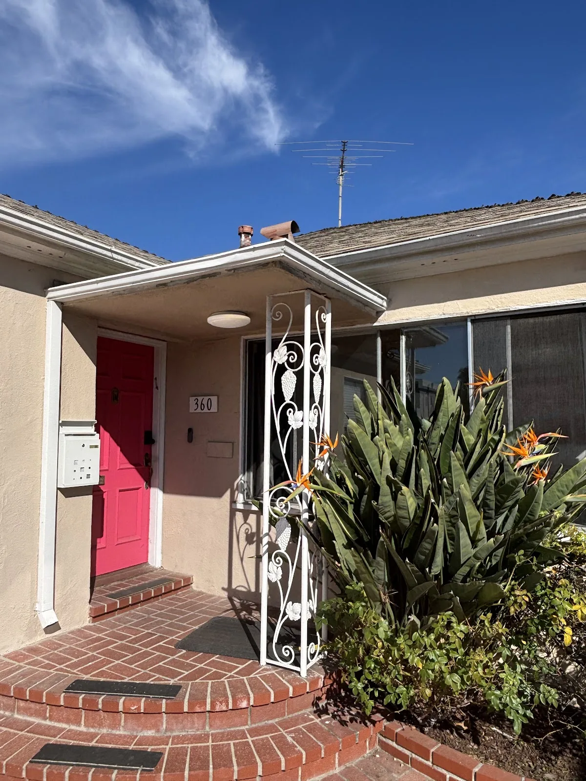 REVIVE Detox - 照片 3