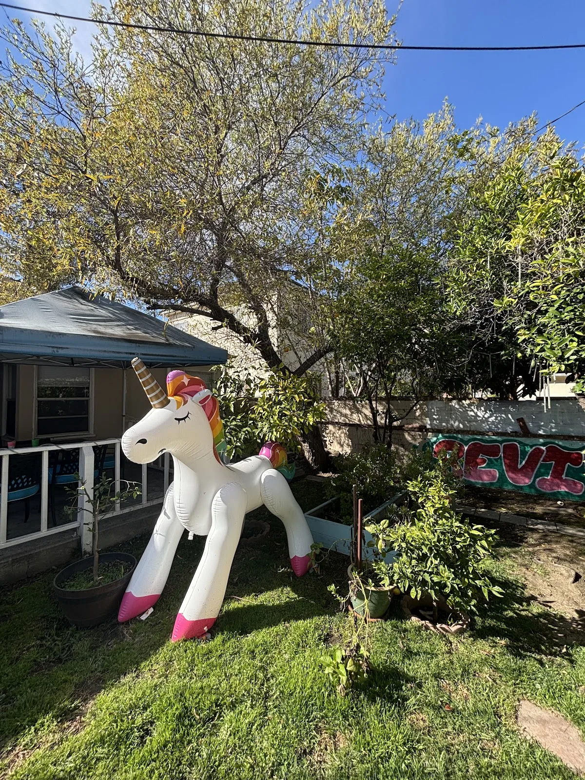 REVIVE Detox - 照片 5