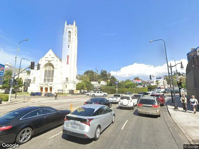 Hollywood Detox - Foto 6