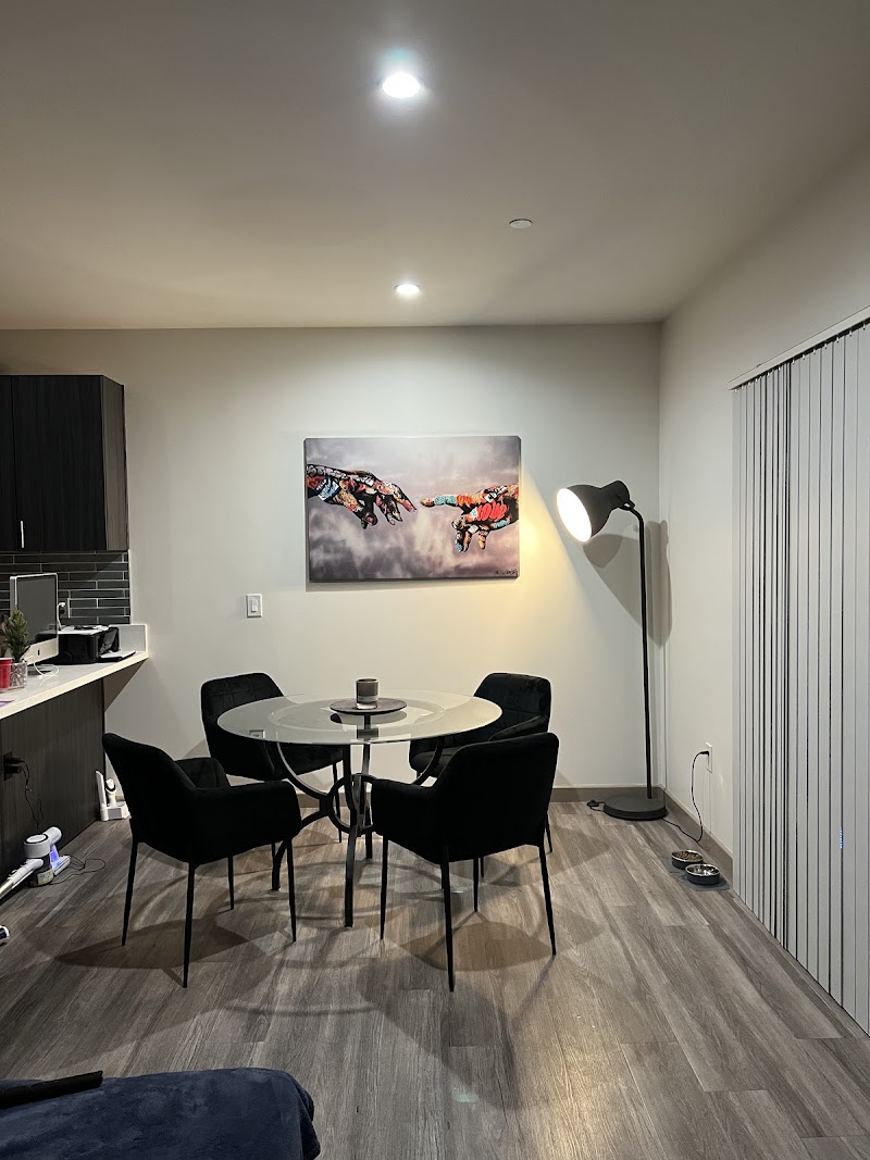 Lucid Recovery - Foto 4