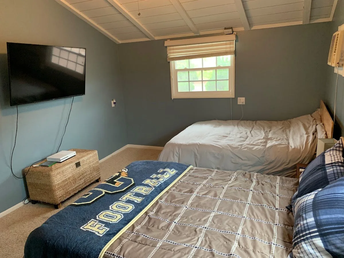 Citronia Recovery - Foto 3