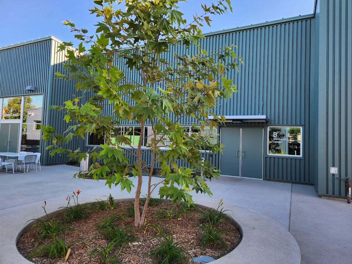 Exodus Recovery Safe Landing - Foto 4