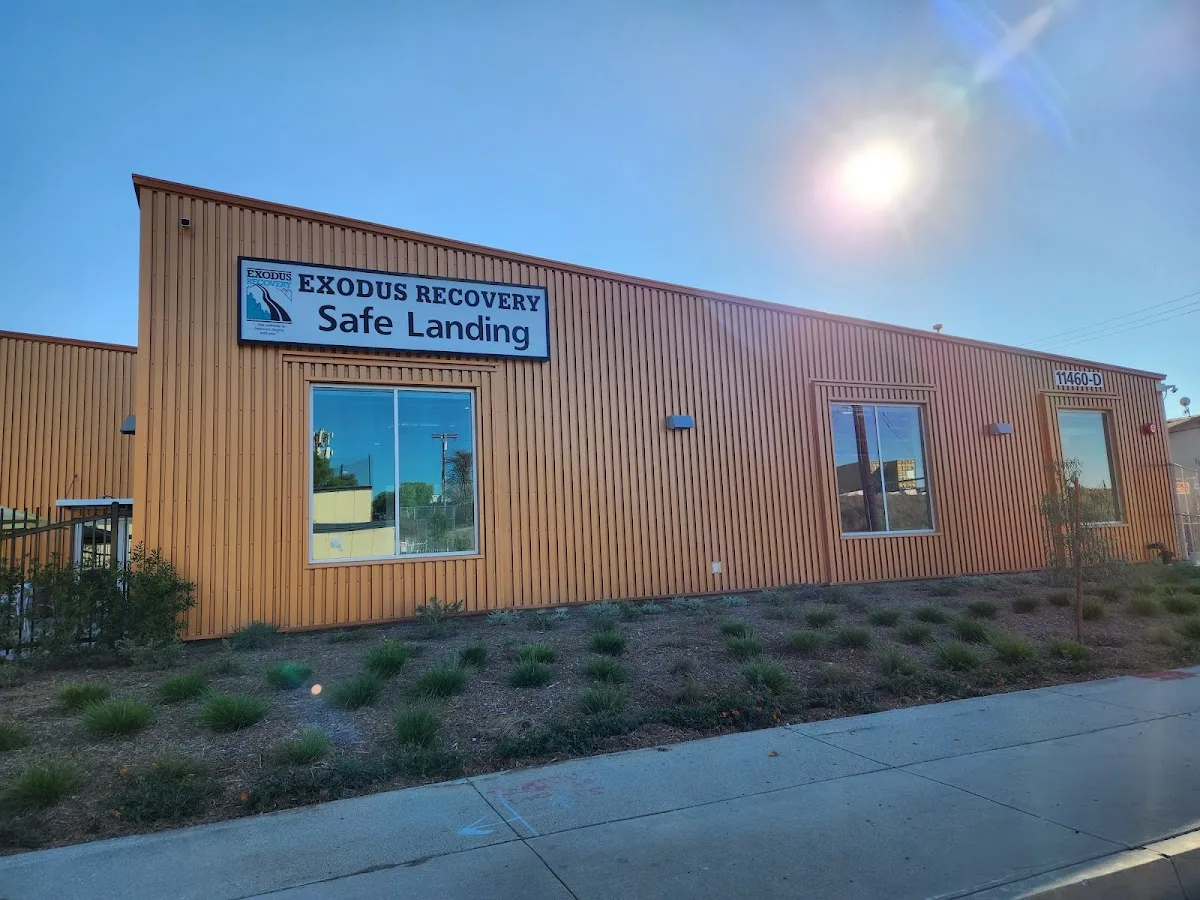 Exodus Recovery Safe Landing - Foto 5