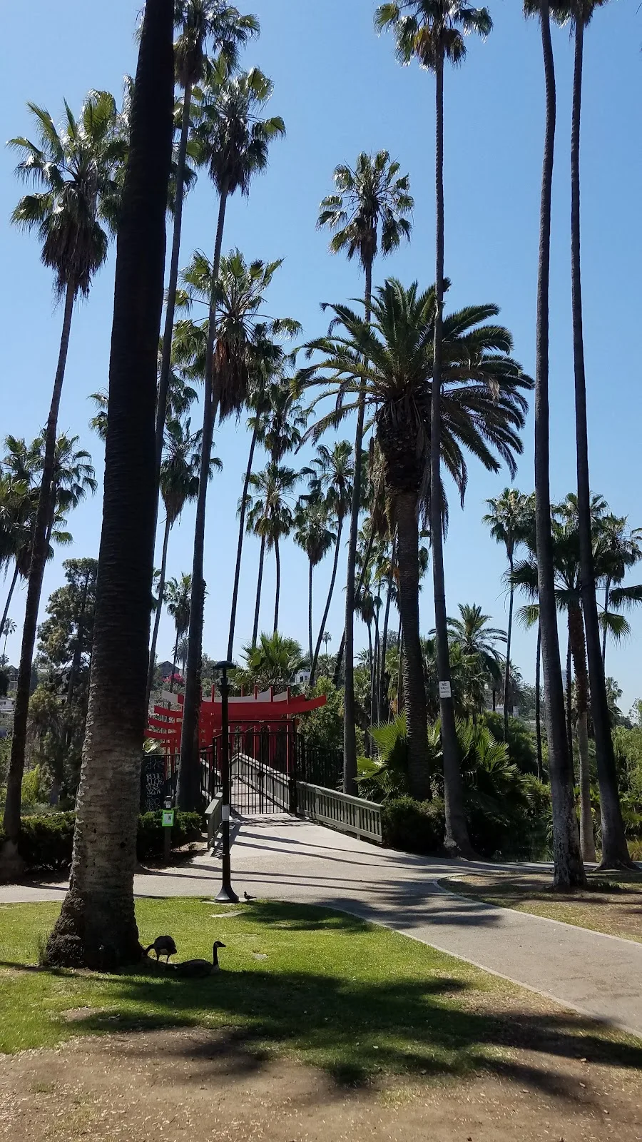 Dream Center Foundation - Foto 5