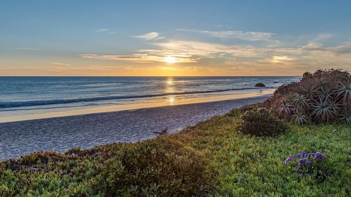 Carrara Treatment Center - 照片 3