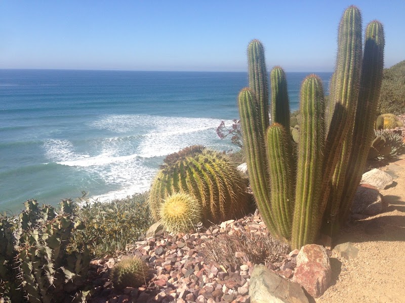 Villa Kali Ma - 照片 2