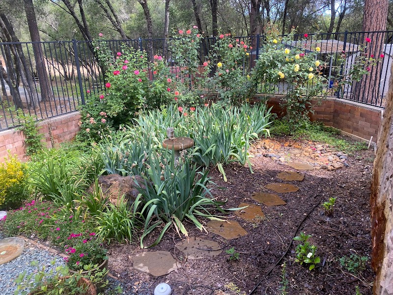 More To Life Recovery - 사진 5