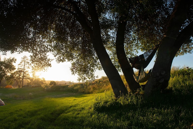 Sierra Meadows - 사진 4