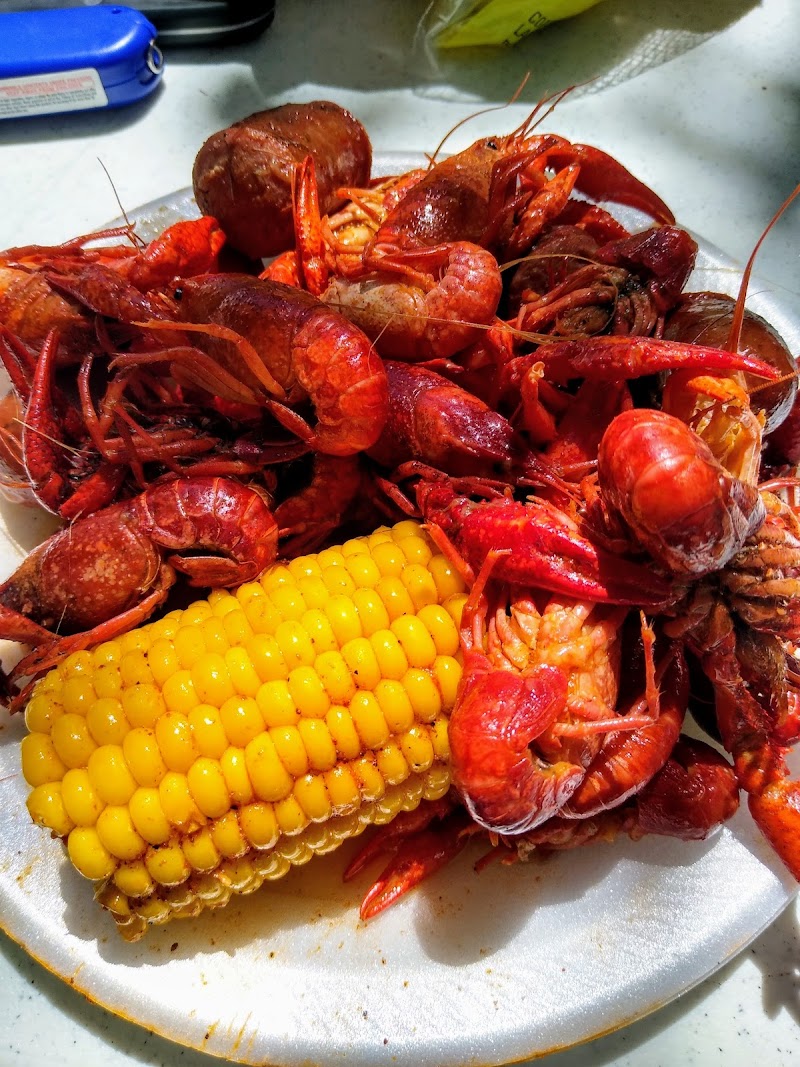 Rise In Glendale Sobriety Center, Inc. - Ảnh 5