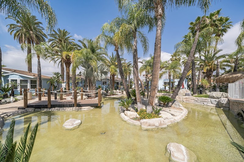 We Level Up California Llc - Foto 2