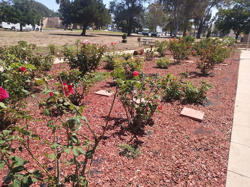 New Directions For Veterans - Foto 3