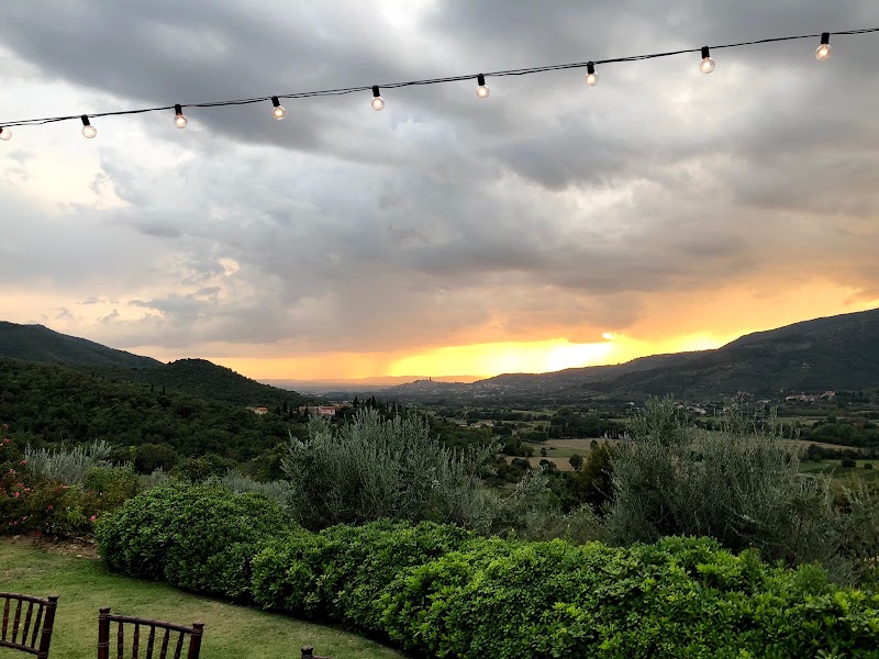 Bold Recovery - Foto 3