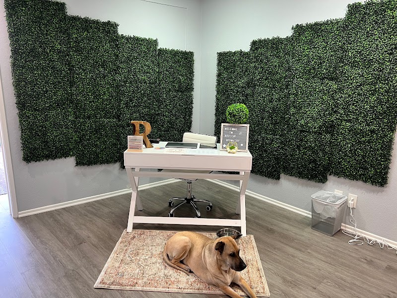 Revolve Recovery - 사진 2