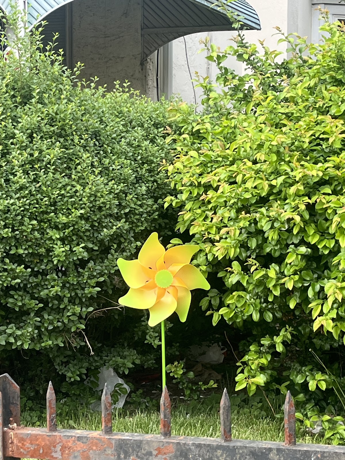 New Path Recovery Center Inc - Foto 2