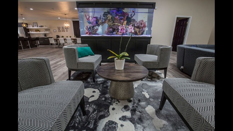 Diamond House Detox And Recovery