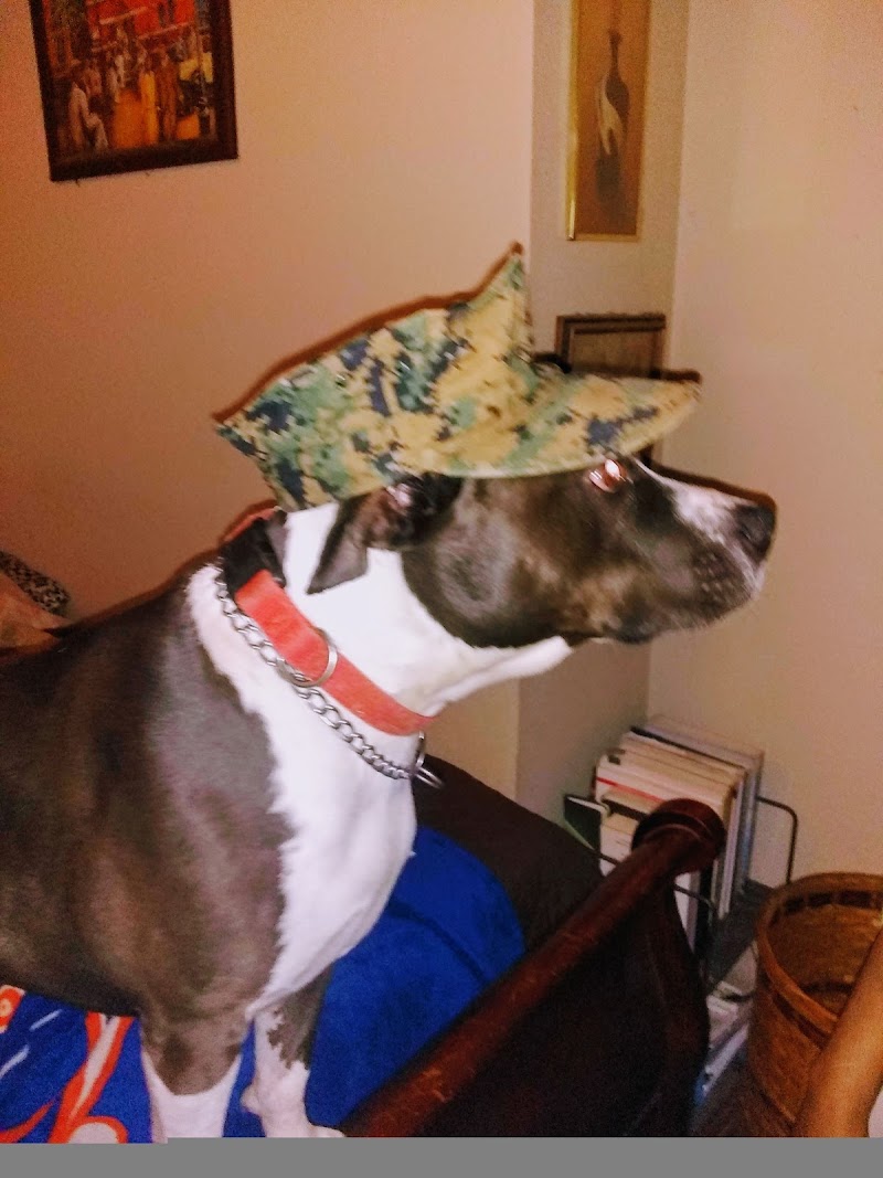 Transitions Buprenorphine Clinic Of Sacramento - Foto 3